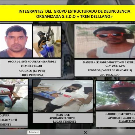 Diario Frontera, Frontera Digital,  Nacionales, ,Golpe al Tren del Llano: cayó alias Mandarria, segundo al mando de la organización, en enfrentamiento en Guárico