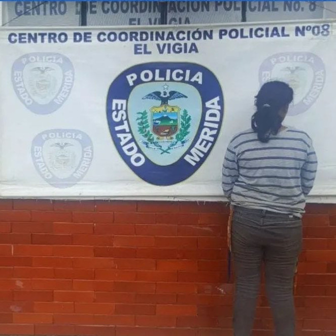Diario Frontera, Frontera Digital,  Sucesos, ,Policía detuvo a una joven por el delito de lesiones graves en El Vigía