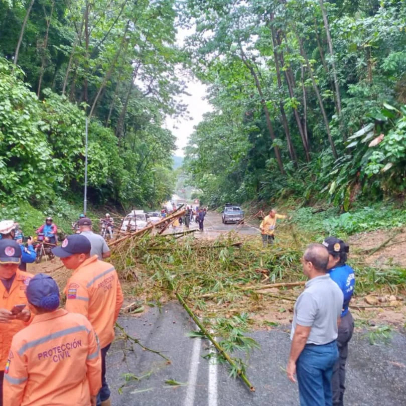 Diario Frontera, Frontera Digital,  El Vigía Panamericana, ,Lluvias causaron derrumbes en la Av. Rotaria y El Vigía - La Blanca