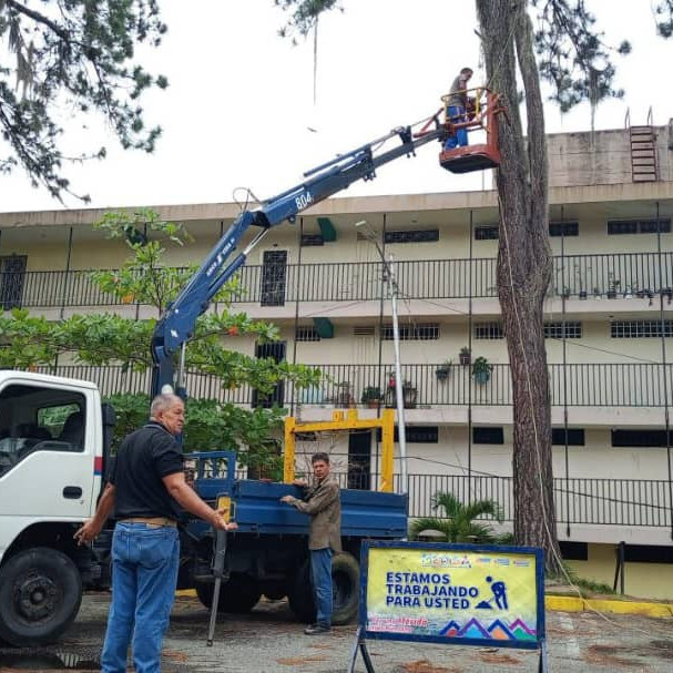 Diario Frontera, Frontera Digital,  Regionales, ,Alcaldía de Mérida realiza operativo de poda de árboles en Residencias Santa Mónica