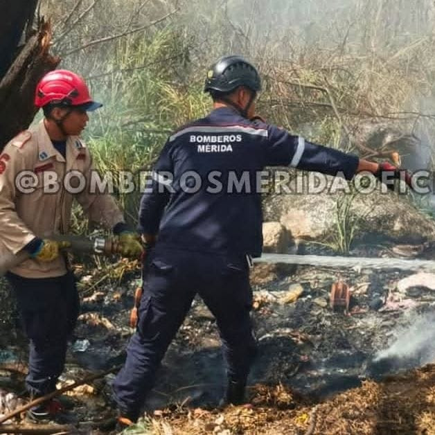 Diario Frontera, Frontera Digital,  Regionales, ,Comisión del Cuerpo de Bomberos sofocaron incendio de vegetación en Ejido