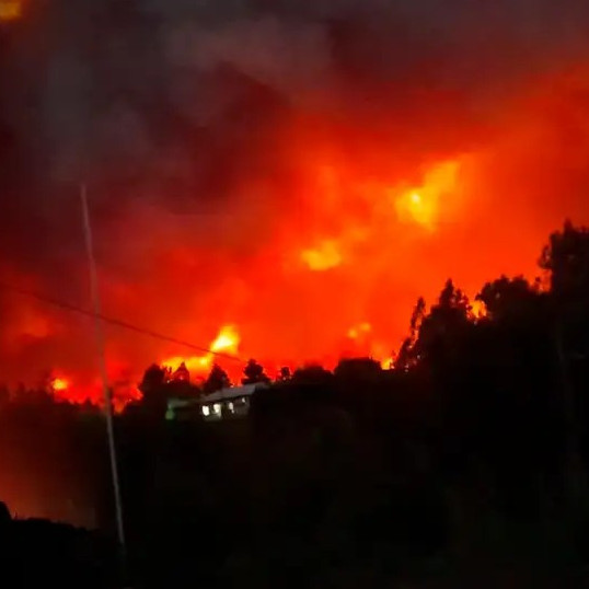 Diario Frontera, Frontera Digital,  Internacionales, ,Por graves incendios forestales Chile decreta Estado de catástrofe