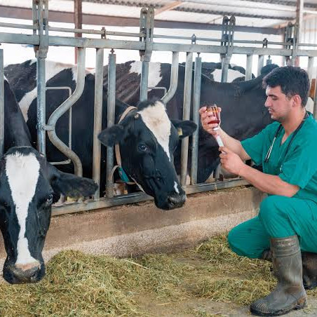 Diario Frontera, Frontera Digital,  Regionales, ,UPTMKR lanza PNF en Medicina Veterinaria