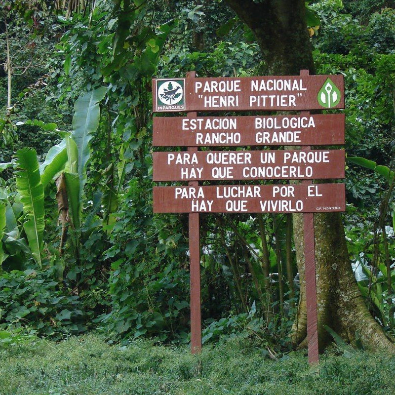 Diario Frontera, Frontera Digital,  Nacionales, ,Al menos 27 hectáreas afectadas por un incendio en el Parque Nacional Henri Pittier