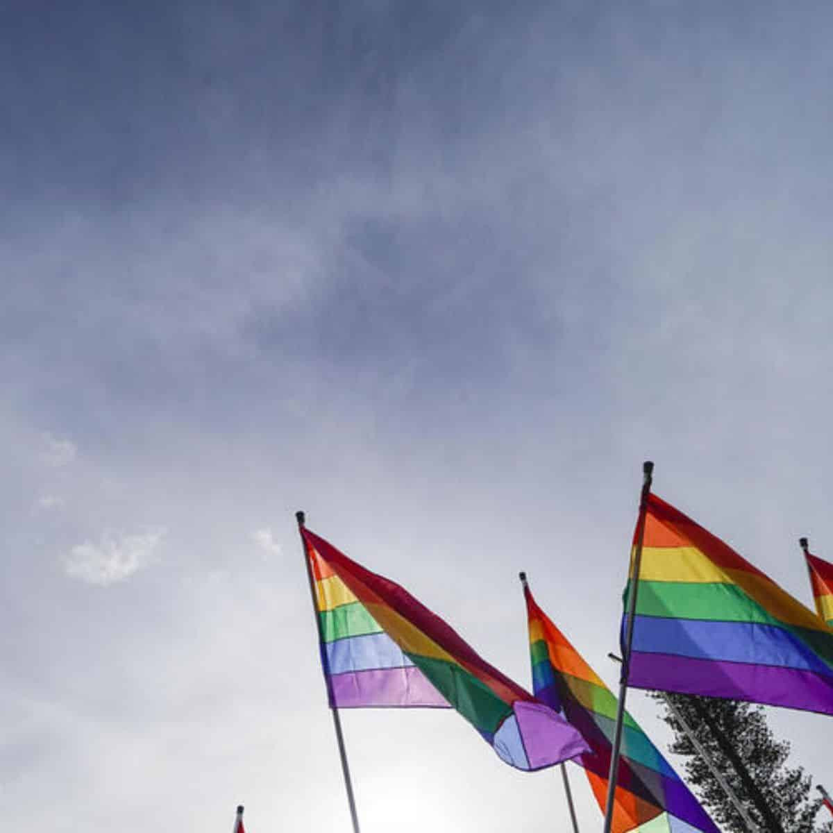Diario Frontera, Frontera Digital,  Nacionales, ,Observatorio Venezolano de Violencias LGBTIQ+ alertó sobre falta de vías legales para proteger a víctimas de agresiones intragénero