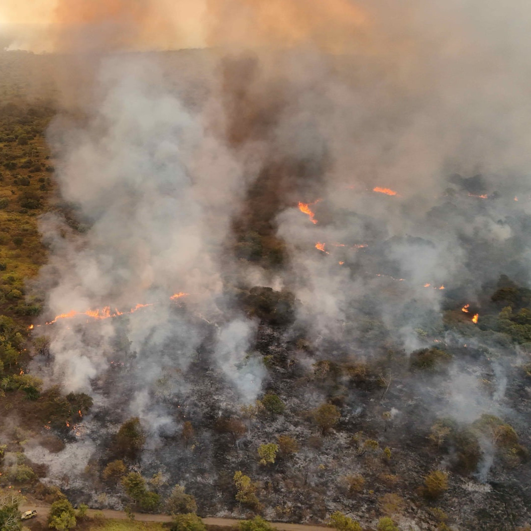 Diario Frontera, Frontera Digital,  Nacionales, ,Inameh advirtió sobre un alto riesgo de incendios forestales en algunos estados de Venezuela