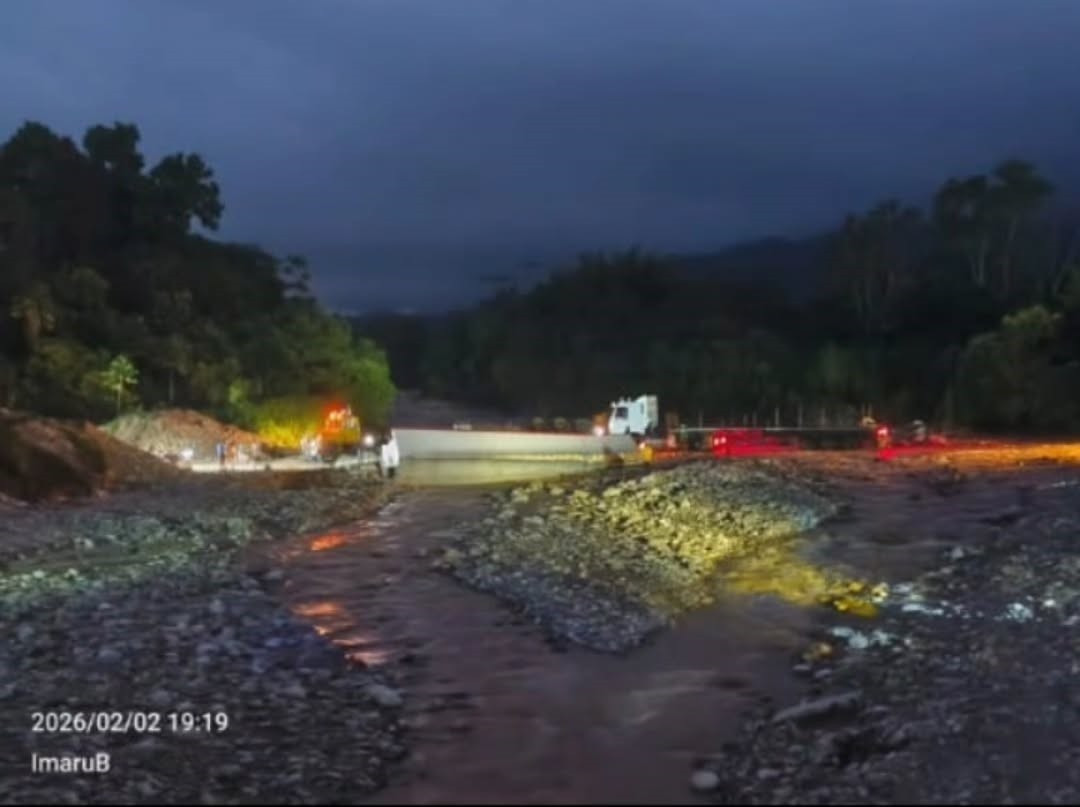 Diario Frontera, Frontera Digital,  El Vigía Panamericana, ,Gandola cargada de carne vuelca al intentar cruzar el río Arenoso