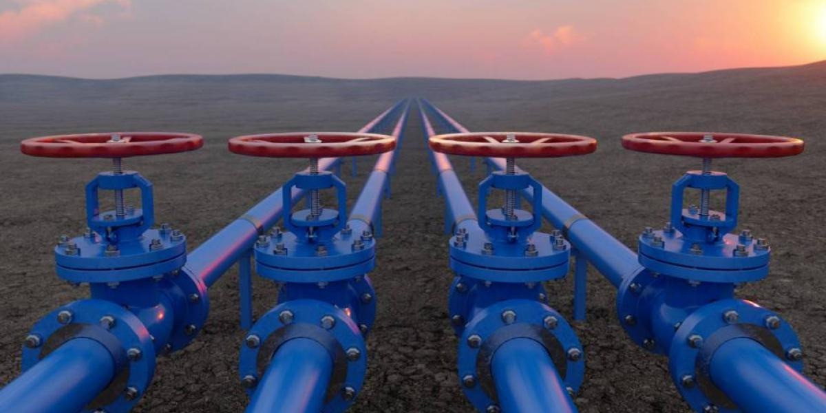 Diario Frontera, Frontera Digital,  Internacionales, ,Ministro de Minas de Colombia sobre habilitación de PDVSA por EE.UU: "Queremos gas barato y rápido"
