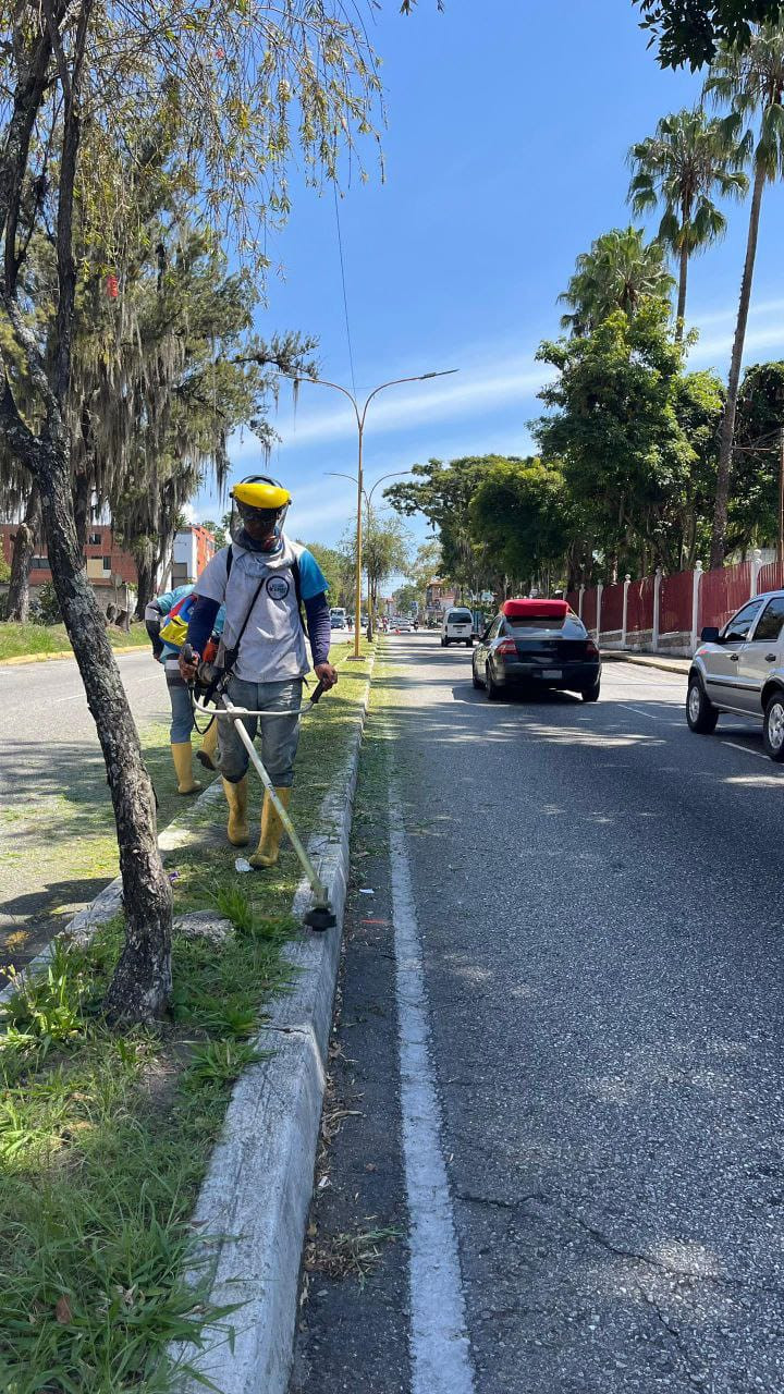 Diario Frontera, Frontera Digital,  Regionales, ,Alcalde Nelson Álvarez intensifica plan de limpieza y desmalezamiento en las principales avenidas de Mérida