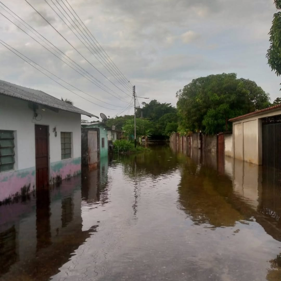 Diario Frontera, Frontera Digital,  El Vigía Panamericana, ,Lluvias afectan el casco central de Palmarito: Posadas e inmuebles comerciales resultaron anegados