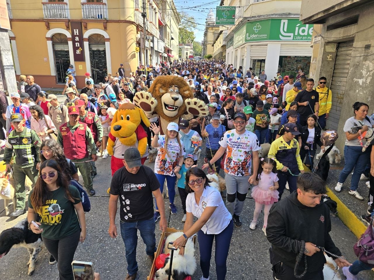 Diario Frontera, Frontera Digital,  Regionales, ,La actividad contó con el acompañamiento de la Secretaria del Despacho de la Gobernación Haylen Mujica y el apoyo en la organización de la Secretaria de Protección Animal del estado María Inés Pulit,Alcalde Nelson Álvarez encabezó caminata y jornada integral para la protección animal en Mérida