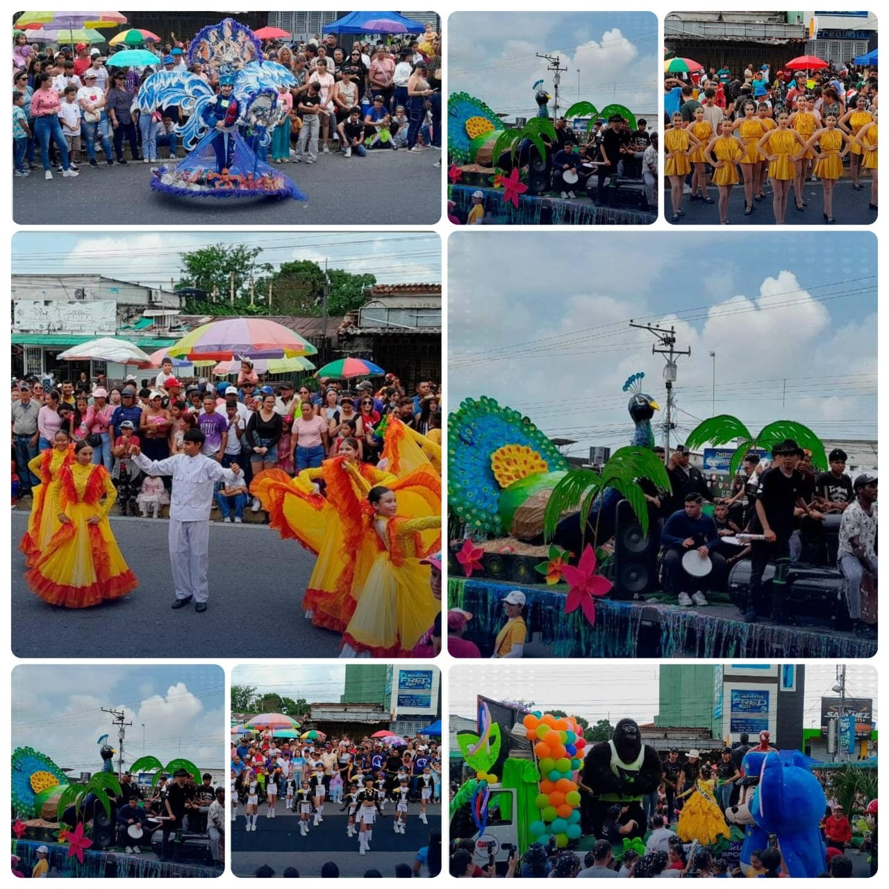 Diario Frontera, Frontera Digital,  El Vigía Panamericana, ,Ganadores del Desfile de Carnaval 2026 fueron los Club de Gimnasia Florecita y "Hakuna Matata" en El Vigía