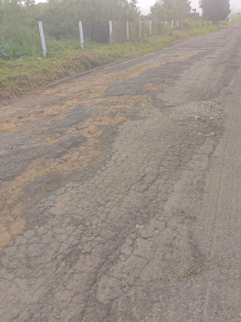 Diario Frontera, Frontera Digital,  El Vigía Panamericana, ,Población exige al burgomaestre arreglo de las calles y avenidas de La Tendida en el Táchira