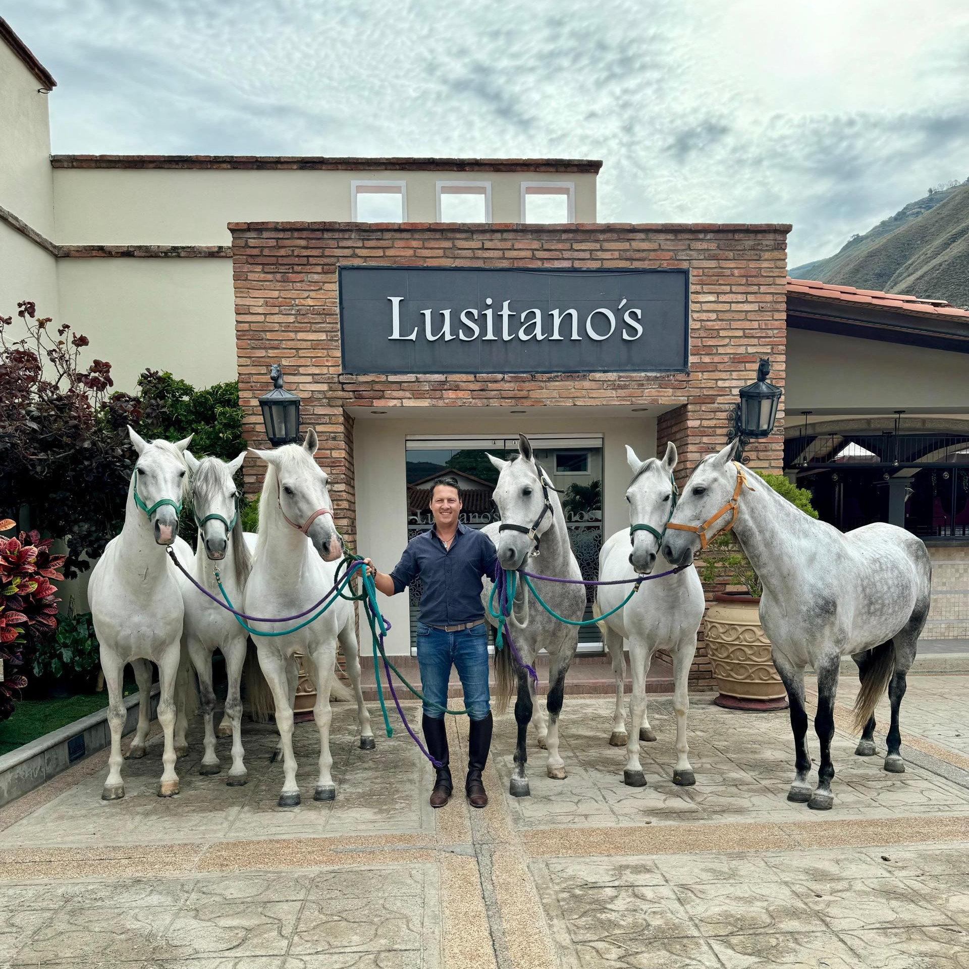 Diario Frontera, Frontera Digital,  Entretenimiento, ,Cierre de lujo en Lusitanos: toros y música con broche de oro