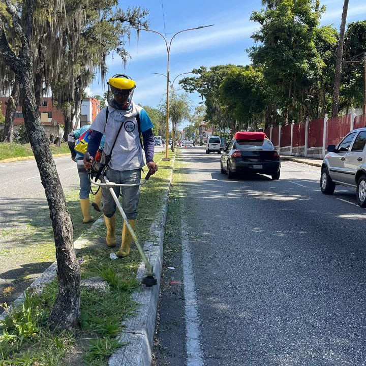 Diario Frontera, Frontera Digital,  Regionales, ,Alcalde Nelson Álvarez intensifica plan de limpieza y desmalezamiento en las principales avenidas de Mérida