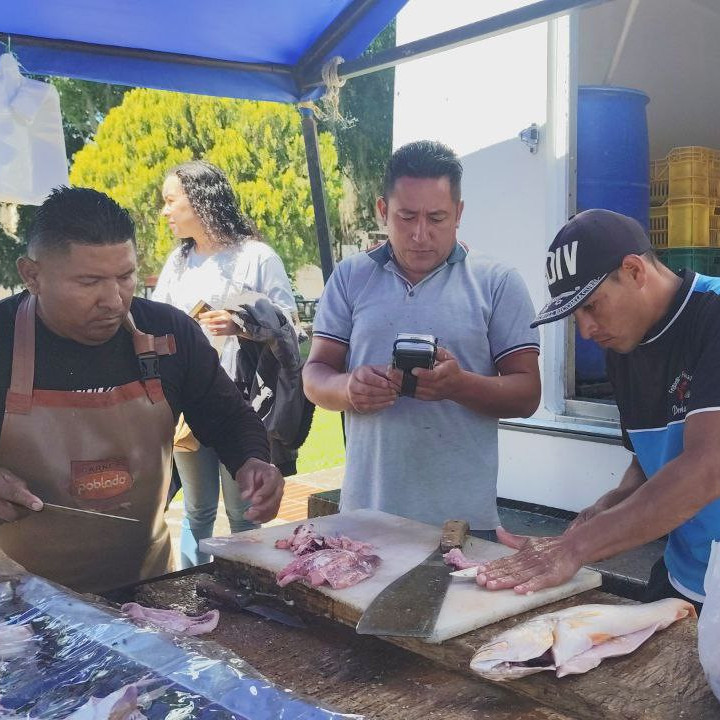 Diario Frontera, Frontera Digital,  Regionales, ,Plan “Venezuela come más pescado” se despliega en varios municipios de Mérida