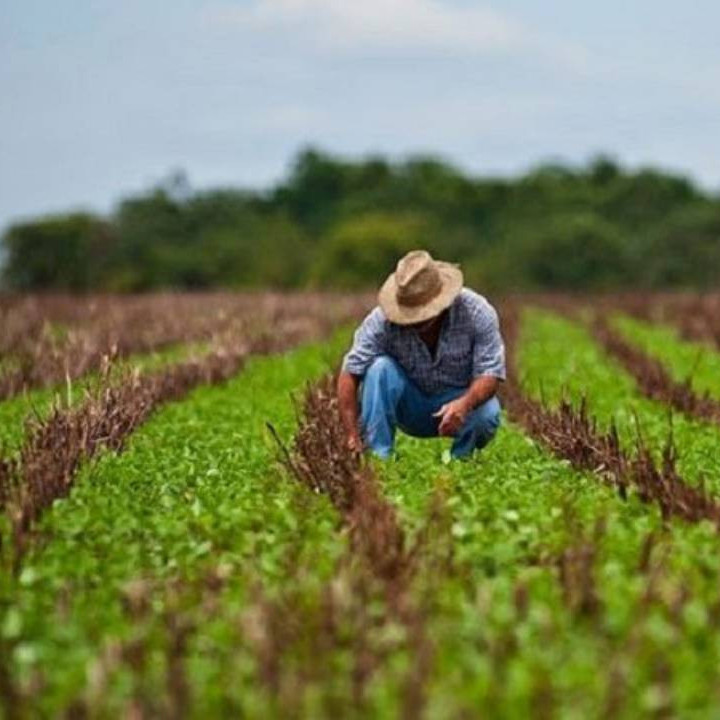 Diario Frontera, Frontera Digital,  Nacionales, ,Sector agrícola pide inversión y tecnología para potenciar el sistema agroalimentario del país