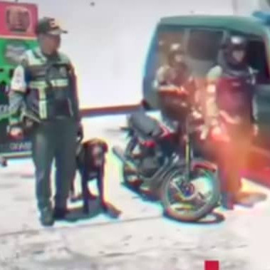 Diario Frontera, Frontera Digital,  Sucesos, ,GNB asesta golpe al microtráfico en Bailadores: dos detenidos con casi un kilo de sustancias ilícitas