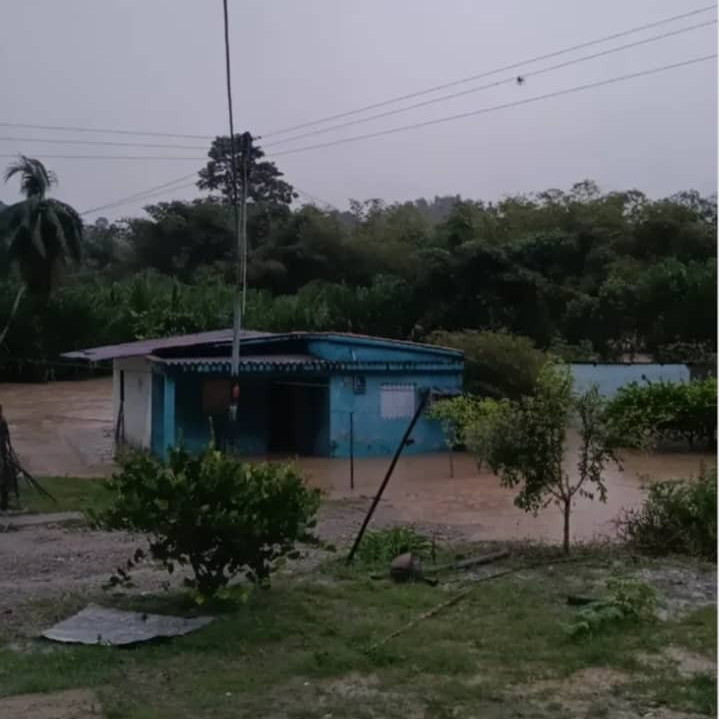 Diario Frontera, Frontera Digital,  El Vigía Panamericana, ,Fuertes lluvias dejan viviendas anegadas y vialidad obstruida