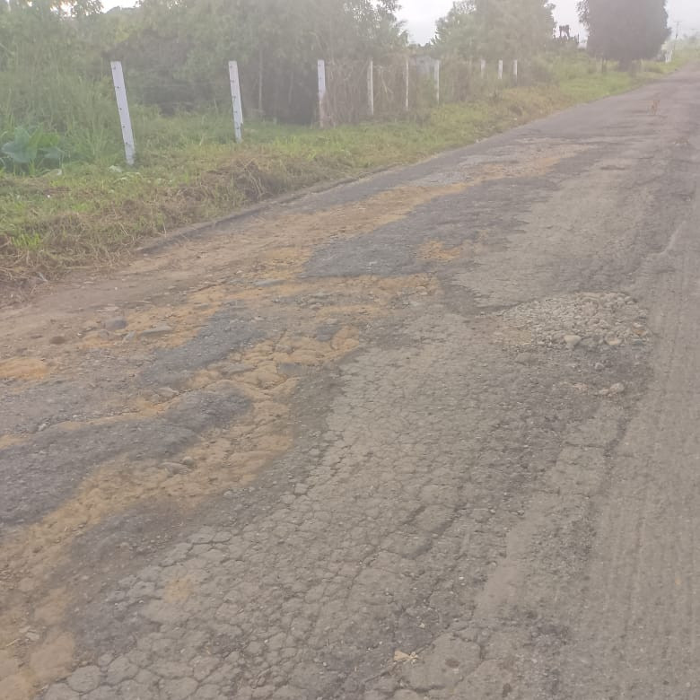 Diario Frontera, Frontera Digital,  El Vigía Panamericana, ,Población exige al burgomaestre arreglo de las calles y avenidas de La Tendida en el Táchira