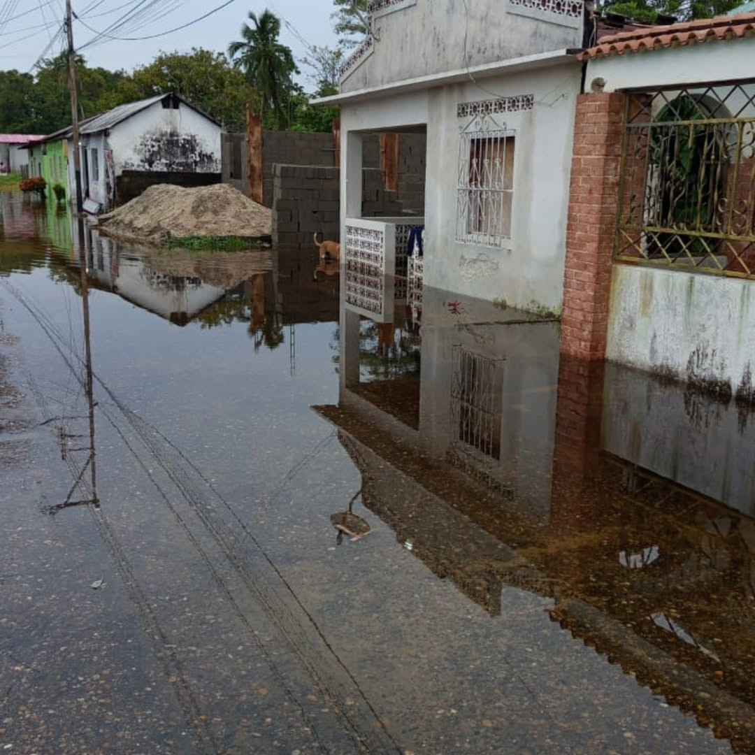 Diario Frontera, Frontera Digital,  El Vigía Panamericana, ,Fuertes lluvias inundan Palmarito