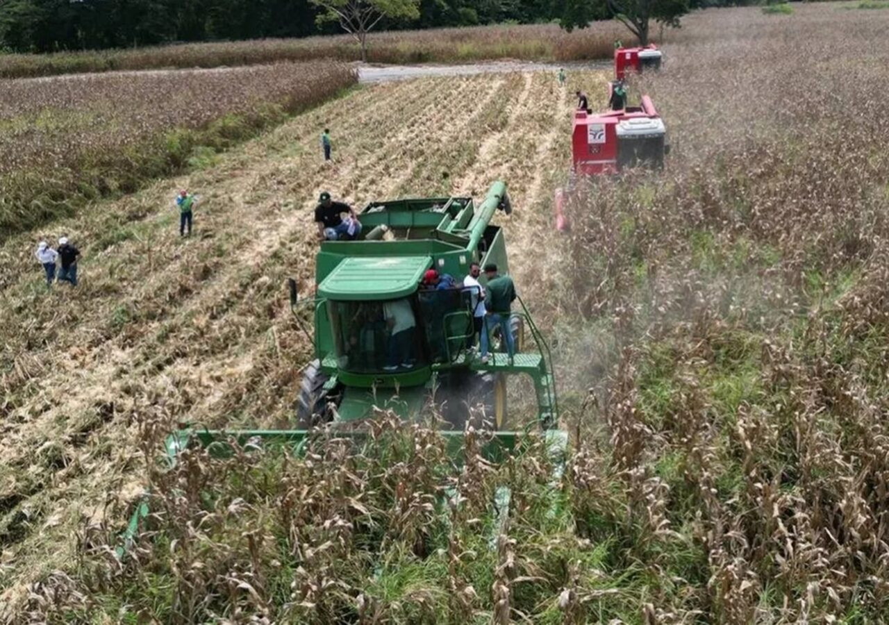 Diario Frontera, Frontera Digital,  Nacionales, ,Gremio agrícola espera reforma de la Ley de Tierras para impulsar inversión en Venezuela