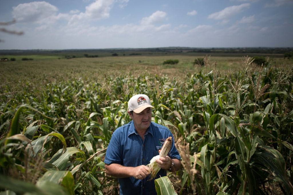 Diario Frontera, Frontera Digital,  Nacionales, ,Fedeagro presenta denuncia por violencia y extorsiones contra agricultores