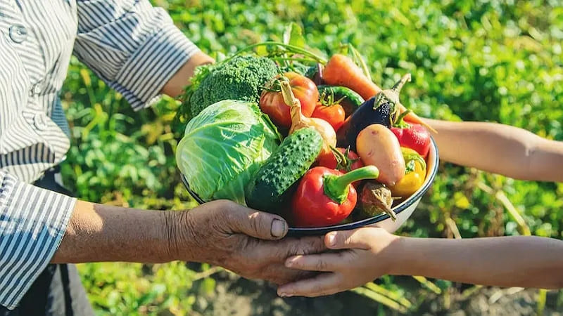 Diario Frontera, Frontera Digital,  Regionales, Páramo, ,Agricultores advierten quiebra inminente por contrabando