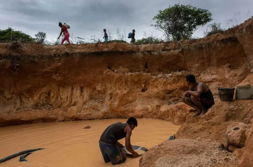 Diario Frontera, Frontera Digital,  Nacionales, ,15 ONG alertan que el proyecto de ley de minas “institucionaliza” el ecocidio en Venezuela