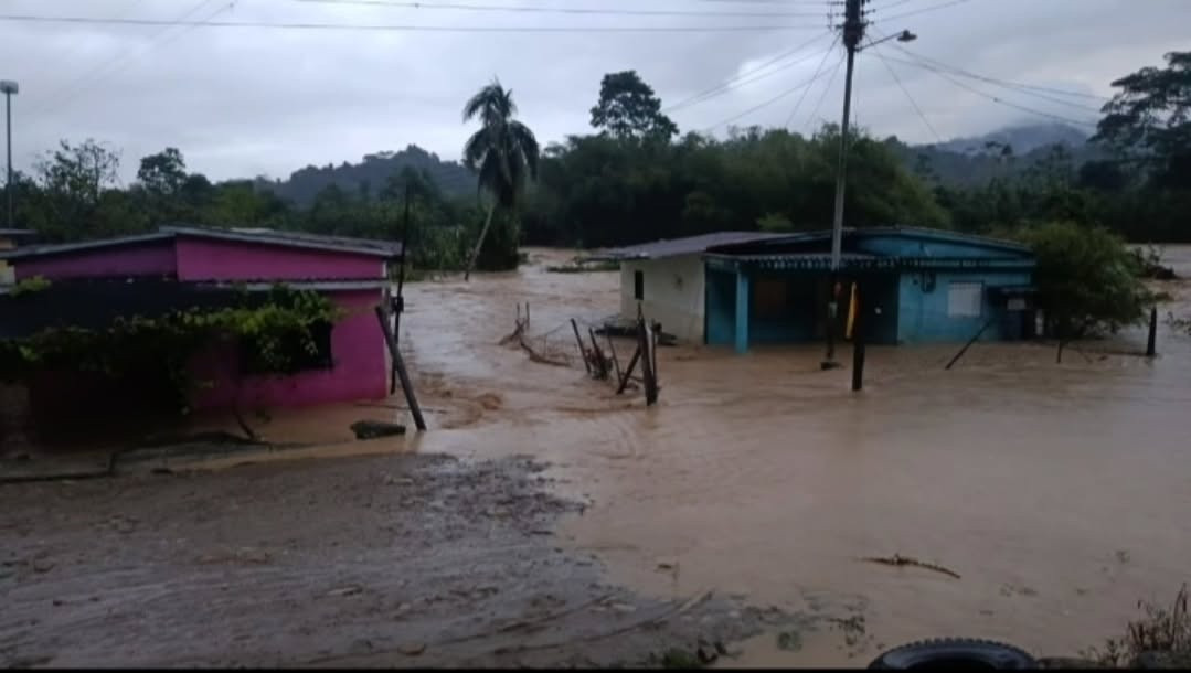 Diario Frontera, Frontera Digital,  El Vigía Panamericana, ,Desbordamiento del río Culegría deja varias comunidades anegadas e incomunicadas en Alberto Adriani