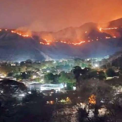 Diario Frontera, Frontera Digital,  Nacionales, ,Incendio forestal consume 120 hectáreas del Henri Pittier