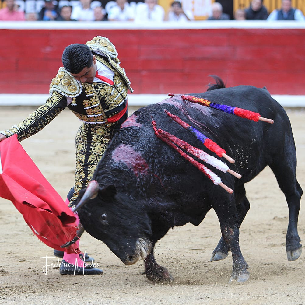 Diario Frontera, Frontera Digital,  Entretenimiento, ,Los toros vuelven a Achaguas por Semana Santa