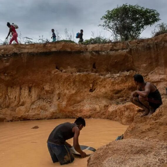 Diario Frontera, Frontera Digital,  Nacionales, ,15 ONG alertan que el proyecto de ley de minas “institucionaliza” el ecocidio en Venezuela