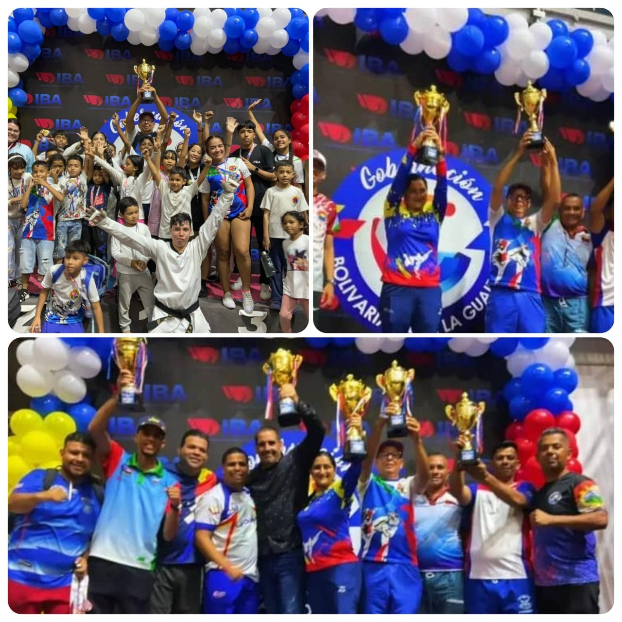 Diario Frontera, Frontera Digital,  Deportes, ,El entrenador del Centro de Taekwondo El Vigía, Franklin Bustamante, expresó su satisfacción por el desempeño de la delegación y agradeció el apoyo de padres y patrocinante,El Centro de Taekwondo El Vigía alcanzó
el tercer lugar en el Campeonato Nacional