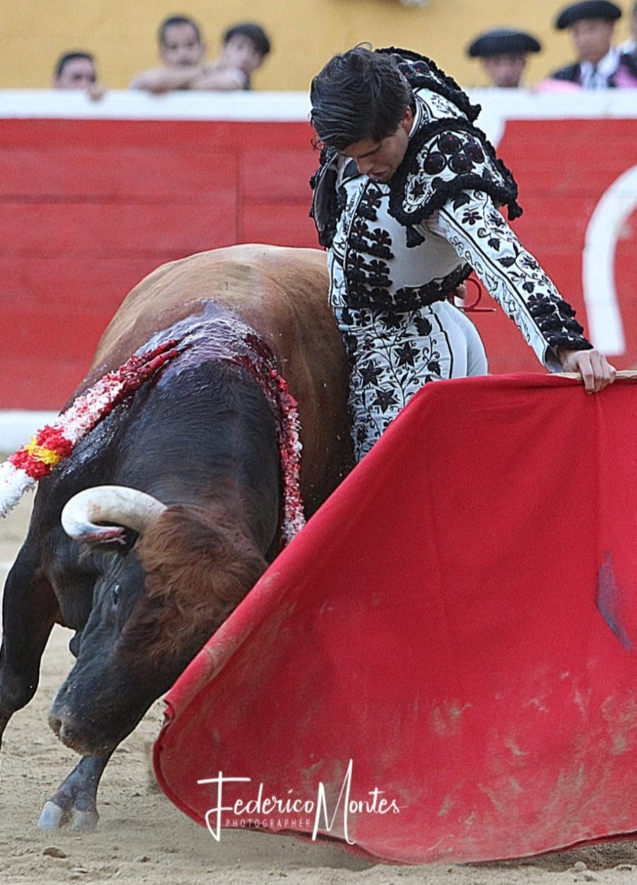 Diario Frontera, Frontera Digital,  Entretenimiento, ,Amplia cartelería de toreros para la Feria de Valera 2026