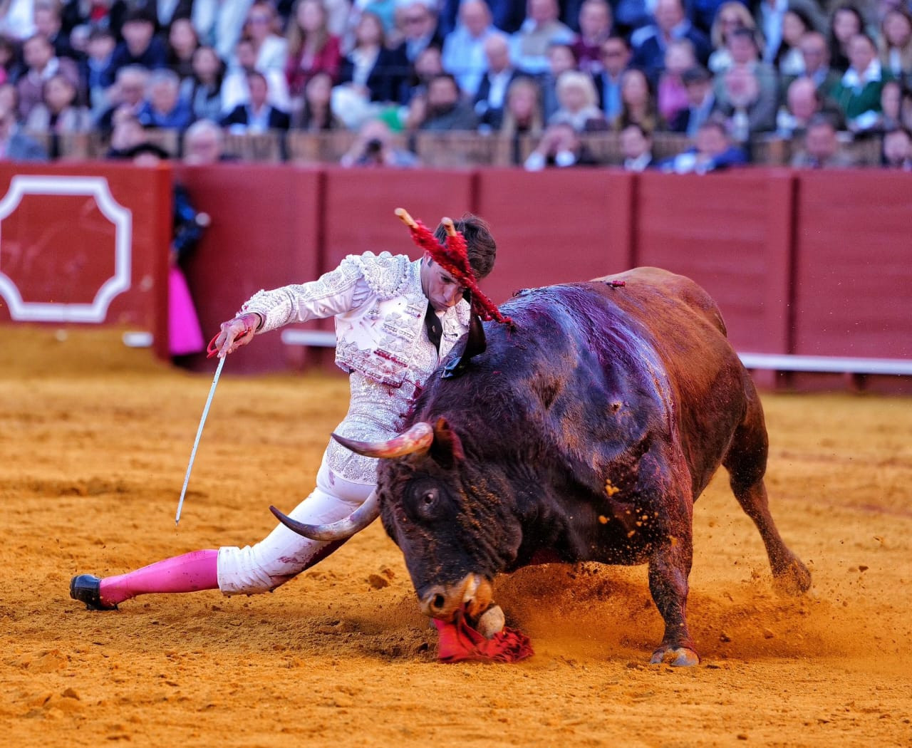 Diario Frontera, Frontera Digital,  Entretenimiento, ,Rafa Serna sufrió lo suyo con un toro liviano, afilado de cara, esa expresión de genio, que se movió siempre picando como una avispa,El natural aplomo de Álvaro Lorenzo con el paisaje de fondo de la batalla 
de Rafa Serna y «Escogeperro» en Sevilla