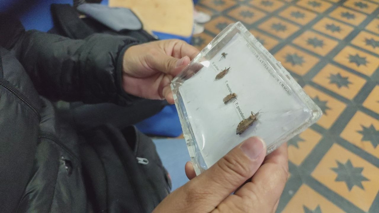 Diario Frontera, Frontera Digital,  Regionales, ,Mérida registra cuatro años con cero pacientes de Chagas