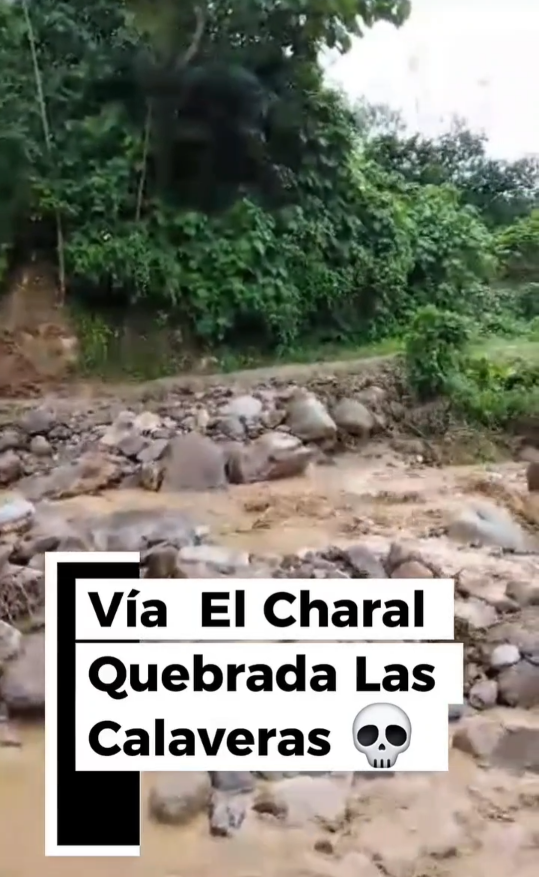 Diario Frontera, Frontera Digital,  El Vigía Panamericana, ,La tarde de este martes, intensas lluvias azotaron la zona alta del municipio Caracciolo Parra y Olmedo,Mérida: Fuertes lluvias afectan vialidad y servicio de agua en Tucaní