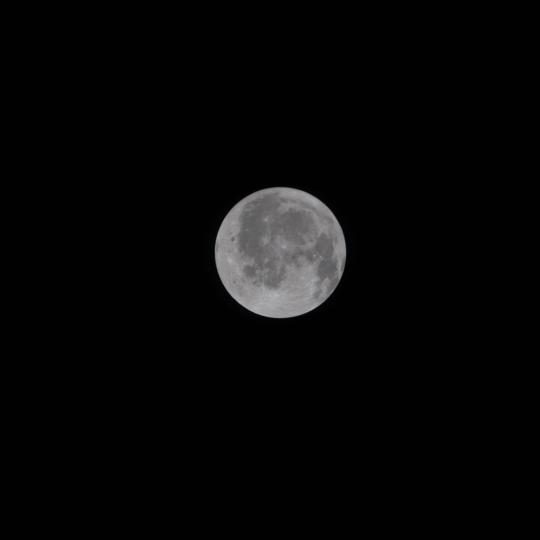 Diario Frontera, Frontera Digital,  Tecnología, ,Artemis II más cerca de la Luna: astronautas aseguraron haber visto su cara oculta