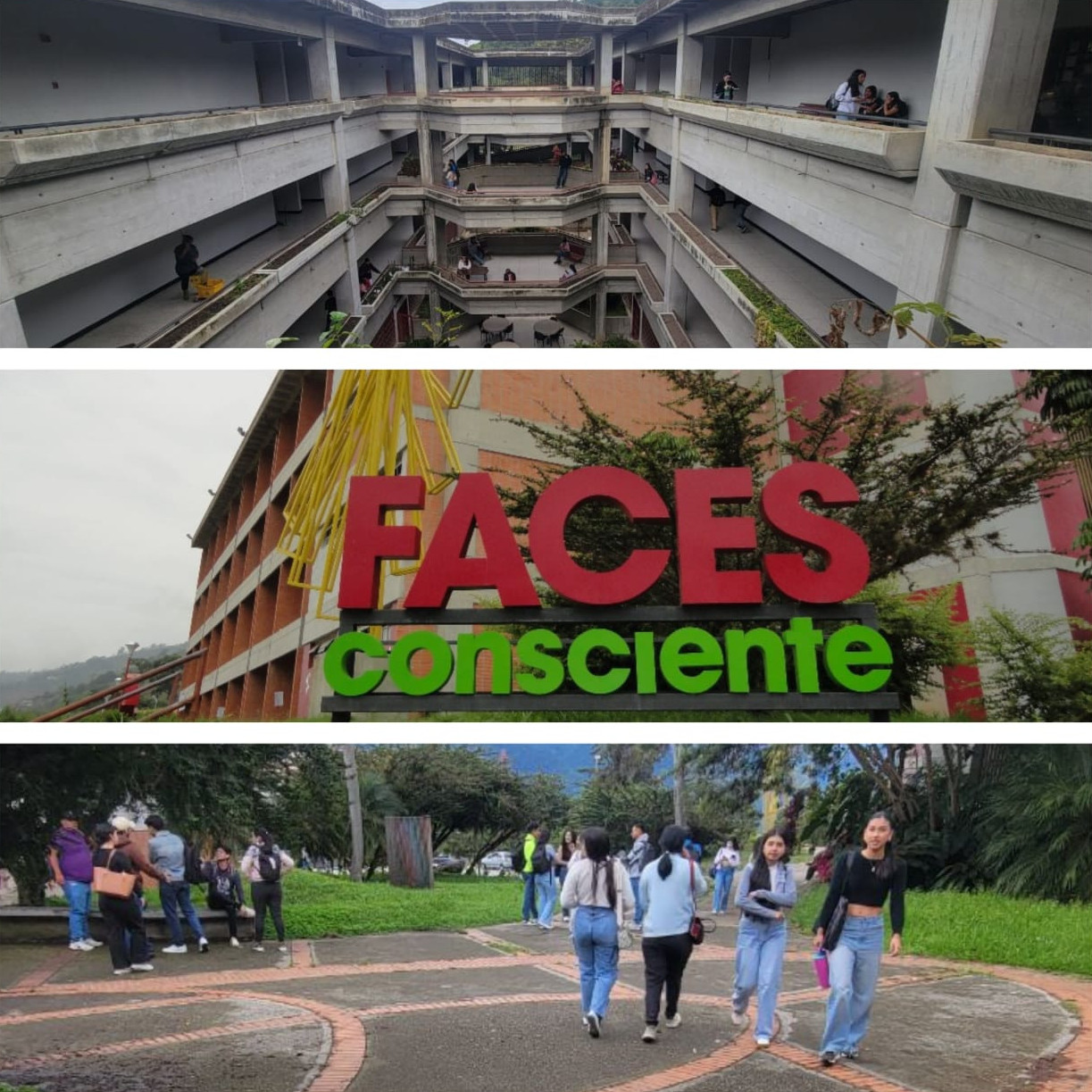 Diario Frontera, Frontera Digital,  Regionales, ,Faces-ULA recibe 400 nuevos estudiantes en pregrado mientras consolida sus programas de postgrado