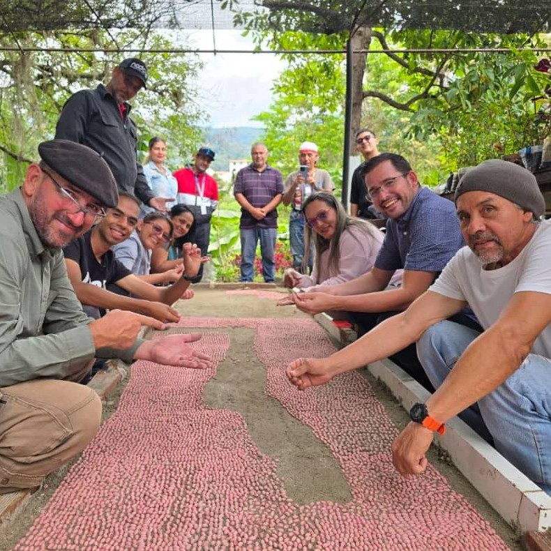 Diario Frontera, Frontera Digital,  Regionales, ,Alcaldía de Mérida: Se proyecta la producción de 30 mil plántulas de café de especialidad