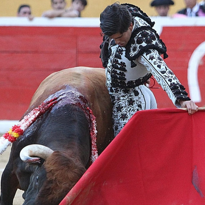 Diario Frontera, Frontera Digital,  Entretenimiento, ,Amplia cartelería de toreros para la Feria de Valera 2026