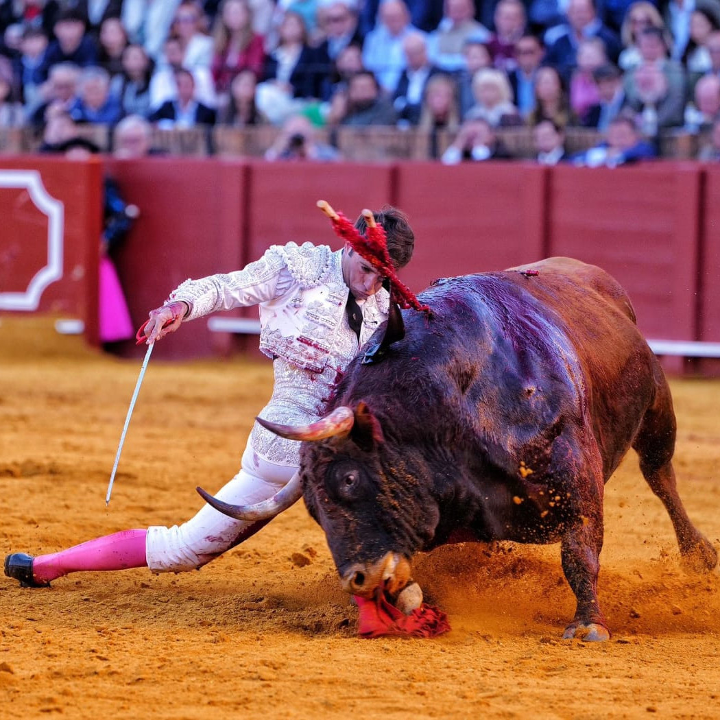 Diario Frontera, Frontera Digital,  Entretenimiento, ,El natural aplomo de Álvaro Lorenzo con el paisaje de fondo de la batalla 
de Rafa Serna y «Escogeperro» en Sevilla