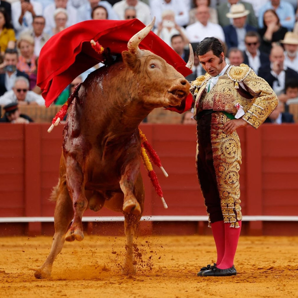 Diario Frontera, Frontera Digital,  Entretenimiento, ,Morante vuelve a demostrar en Sevilla por qué es el más grande de la historia