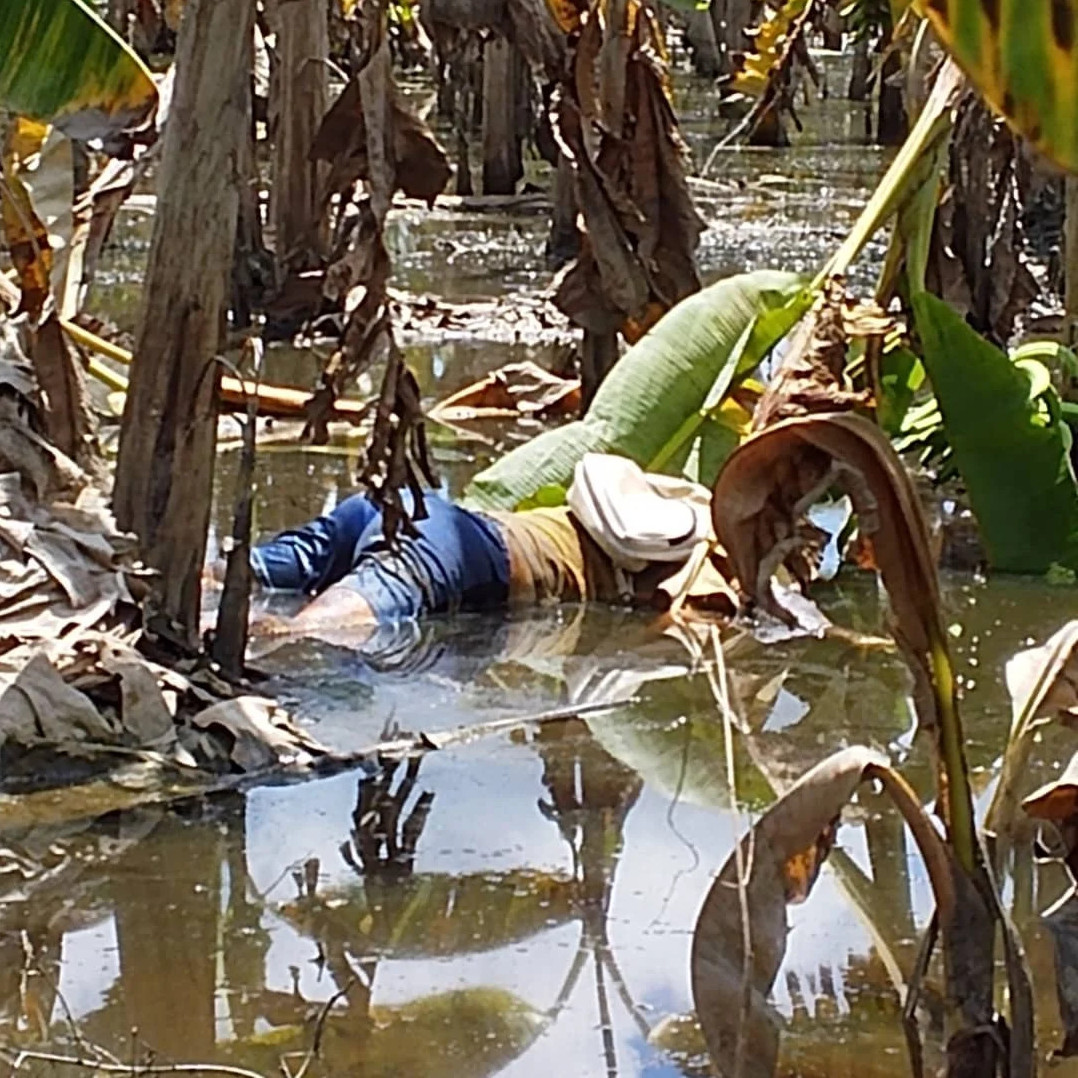 Diario Frontera, Frontera Digital,  Sucesos, ,Hallan sin vida hombre a orillas del río Mucujepe en Francisco Javier Pulgar
