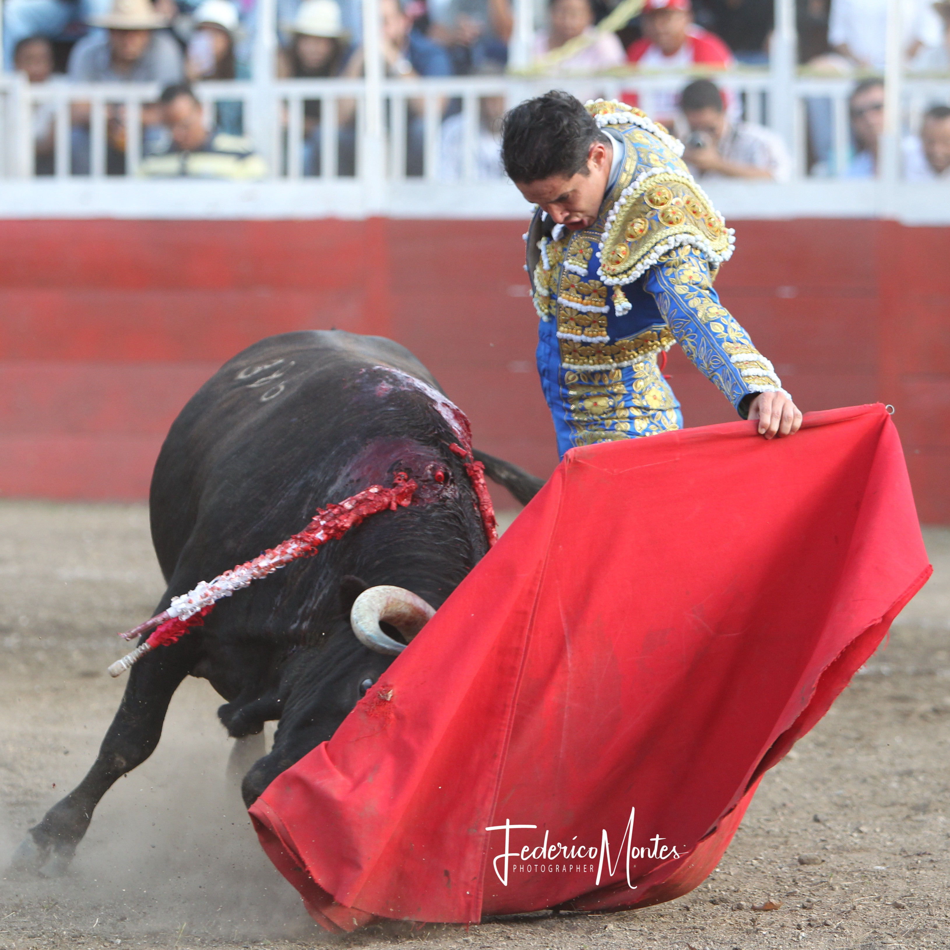 Diario Frontera, Frontera Digital,  Entretenimiento, ,A hombros “El Rubi” y Suárez en Achaguas ante reses de Los Aránguez