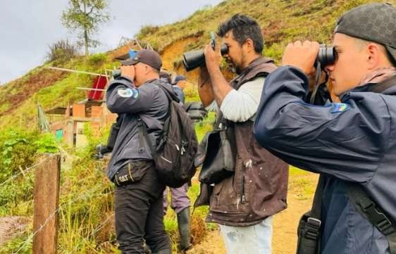 Diario Frontera, Frontera Digital,  Nacionales, ,Venezuela registró 889 especies de aves en el Global Big Day 2025