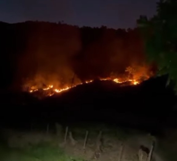 Diario Frontera, Frontera Digital,  Sucesos, Mocoties, ,Incendio en la T007,Se produce incendio en el sector El Peñón en la vía a Tovar