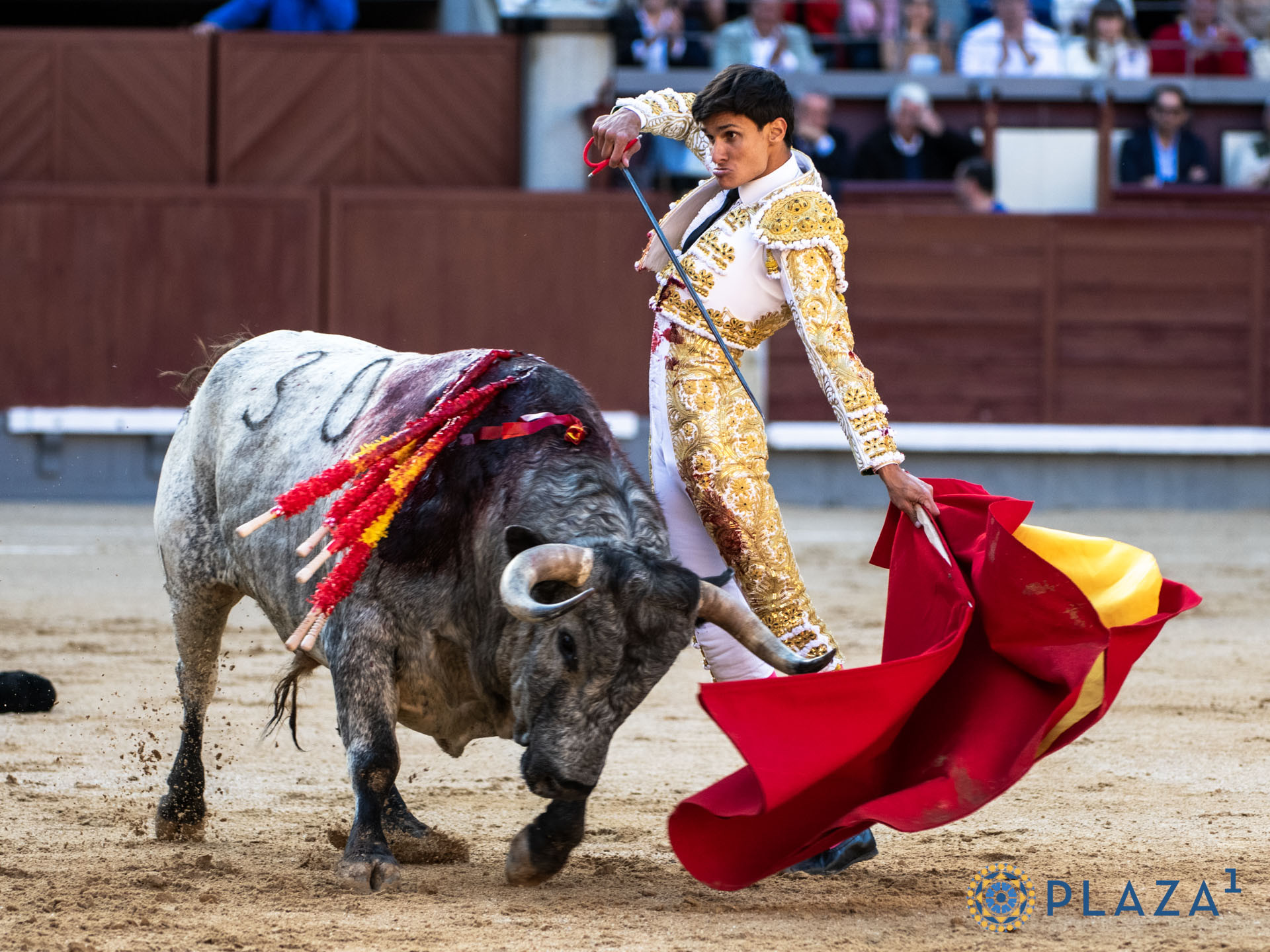 Diario Frontera, Frontera Digital,  Entretenimiento, ,Manuel Diosleguarde, aun sin trofeos, confirma en Madrid su alternativa, y su proyección