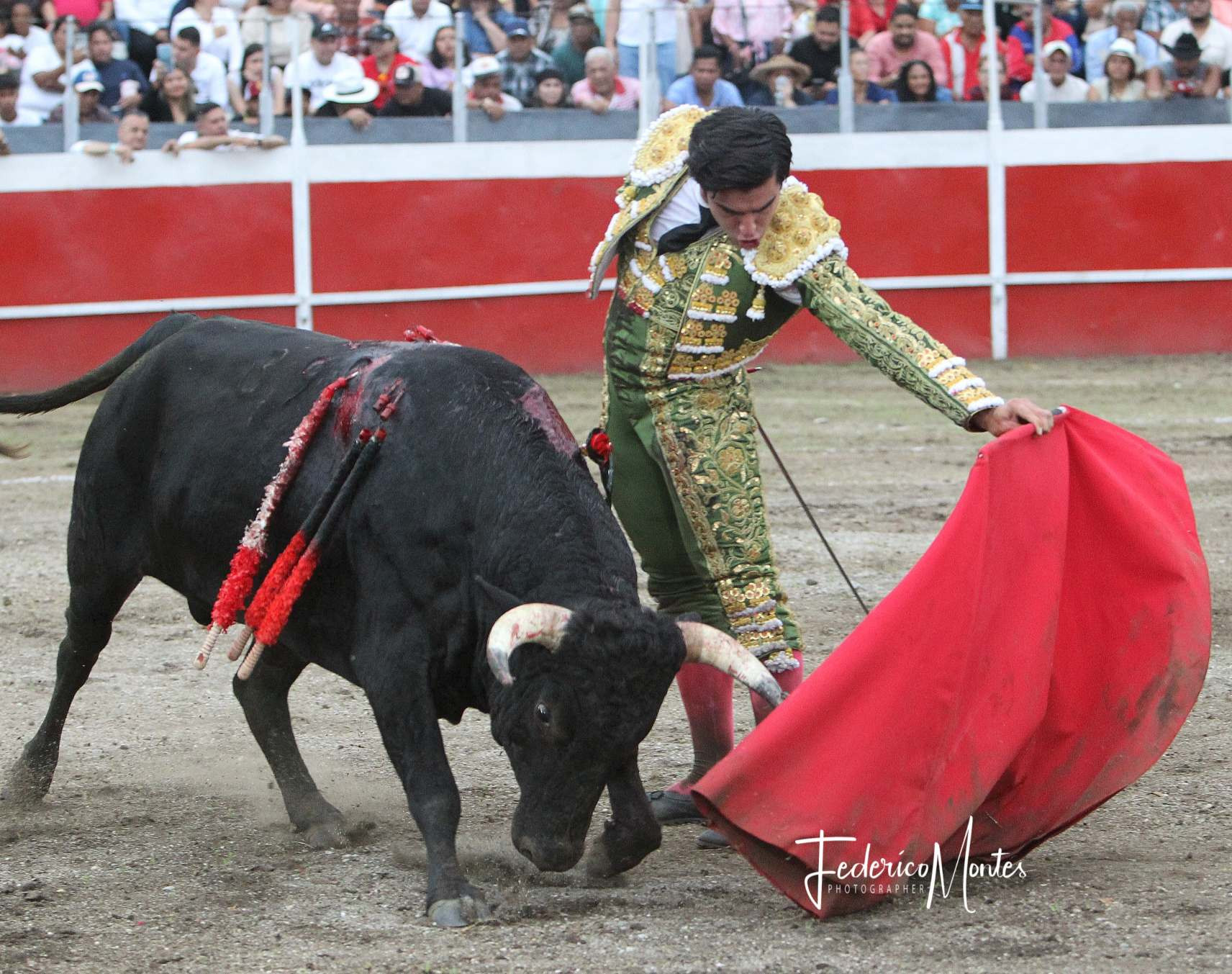 Diario Frontera, Frontera Digital,  Entretenimiento, ,Jesús Enrique “Colombo” se reencuentra con el triunfo en suelo peruano, donde es considerado uno de los toreros más atractivos para públicos y taurinos entendidos. Foto: Federico Montes,“Colombo” se alza como máximo triunfador de la feria peruana de Puquio
